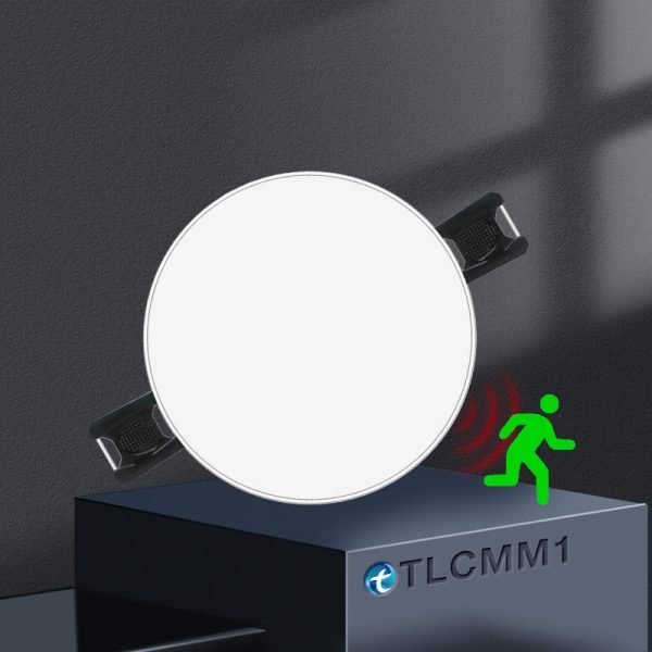 Ceiling Mounted Motion Sensor