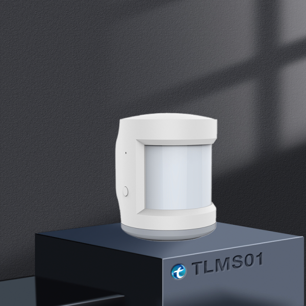 Motion Sensor